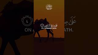 Download lagu Surah Yasin Ibn Bashir voice #islam #recitation #quran mp3