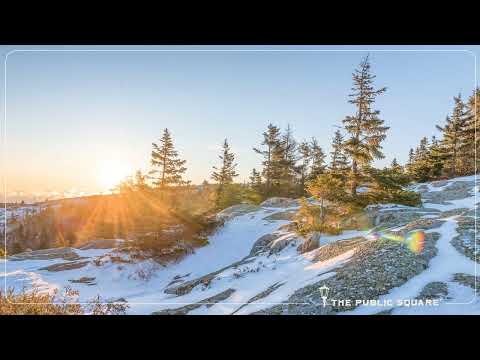 TPS 60: Distractions