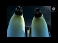Veggietales Funding Credits 2005