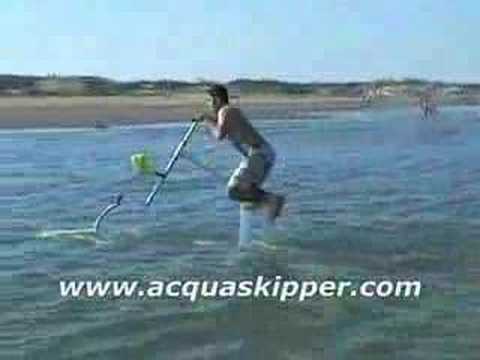 Acquaskipper skipper waterbird acqua aqua water boat ski fly