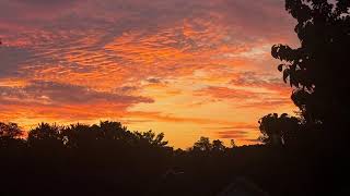Wednesday Trends DRIER | Cold Front Brings Storms Thursday