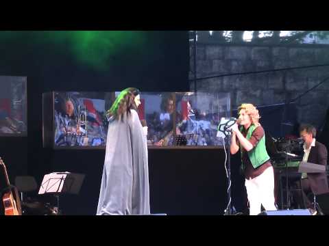 Sommernacht des Musicals XVII 2015 - Solang ich Dich hab - Wicked