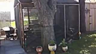 preview picture of video '606 Charleswood Road, Winnipeg'