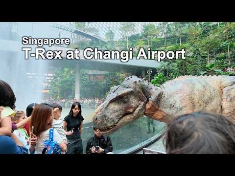 🦖 T-Rex Comes to Jewel Changi Airport, Singapore 🇸🇬 | DINO-A-LIVE