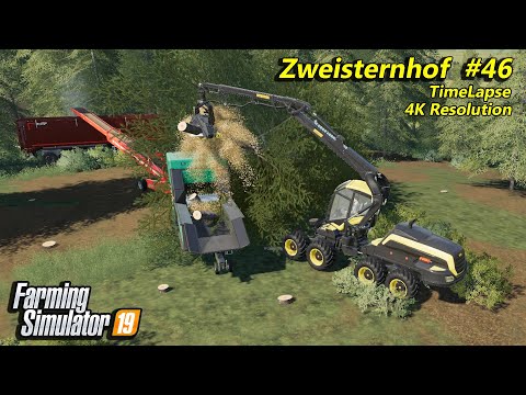 Making and selling wood chips. Selling timber | FS 19 | Zweisternhof #46 | 4K(UltraHD)