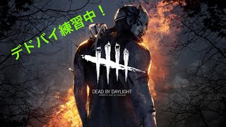 チェイス下手な赤帯が逃げるぞ！【Dead by Daylight /デッドバイデイライト】