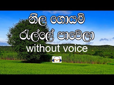 Neela Goyam Ralle Karaoke (without voice) නීල ගොයම් රැල්ලේ