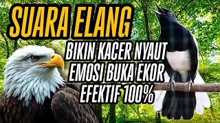 Download lagu Pancingan Kacer Susah On, Lemas & Bisu Bahan Dengan Suara Elang Ampuh Viral #pancingankacerbahan mp3 Download lagu Pancingan Kacer Susah On, Lemas & Bisu Bahan Dengan Suara Elang Ampuh Viral #pancingankacerbahan mp3