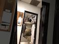 Failing To Use The Door Frame #Pull-Up Bar. #funny