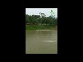 High Density Fish Cultivation