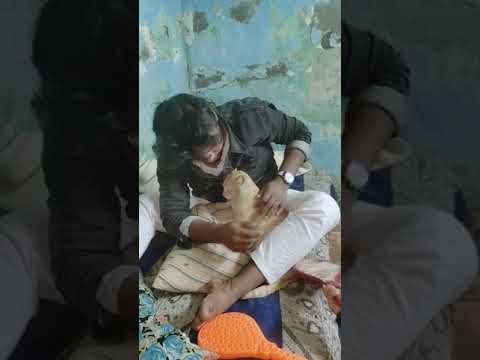 Insan aur billi ka maarpeet