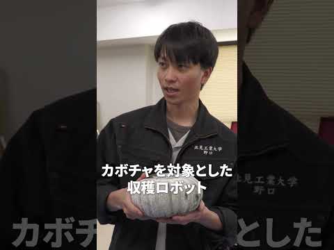 このあとAIが勝手にカボチャを収穫します #北見工大 #大学 #研究 #受験生 #高校生