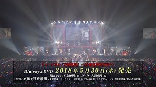 「ミュージカル『刀剣乱舞』 ～真剣乱舞祭 2017～」Blu-ray＆DVD 発売告知動画