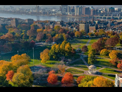2 Avery Street #29H, Boston, MA