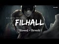 Filhall - Lofi (Slowed + Reverb) | B Praak | SR Lofi