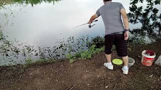 ตกปลาลุ้นเล่นๆที่สวนไร้กังวล #ตกปลา #ผ่อนคลาย #nature #reels #real