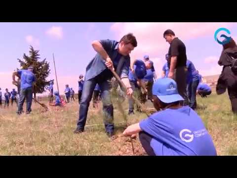 გამწვანების აქცია სოფელ უდაბნოში