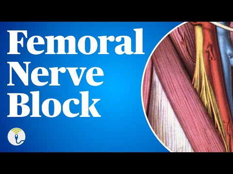 Femoral Nerve Block Made Easy: Anatomy, Tips & Tricks!