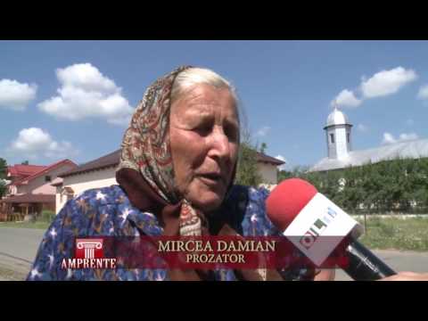 AMPRENTE 1707 2016 MIRCEA DAMIAN PROZATOR