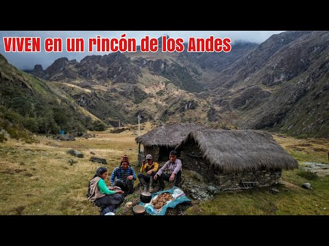 A HARD but HAPPY LIFE is how a FAMILY lives in an inhospitable corner of the PERUVIAN ANDES