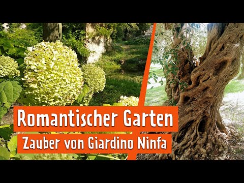 Garden trip to Italy: In the enchanting park "Giardino di Ninfa" | MDR Garden