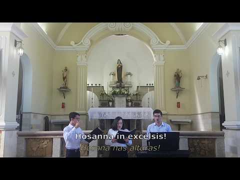 Missa VIII (De Angelis)