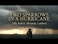 Two Sparrows In A Hurricane Jelly Roll Ft Miranda Lambert Fan Made AI Inspired Country Duet
