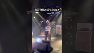 小悪魔だってかまわない！【ライブで歌ってみた】#小悪魔だってかまわない #honeyworks