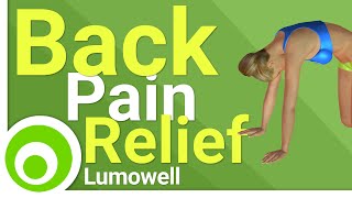 Back Pain Relief Exercises at Home