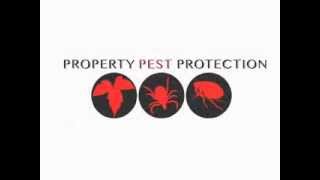 Poison Ivy Gone Video 1. First removal of 2014 season