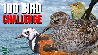 We Can't Go Home Until We Find 100 Bird Species!
