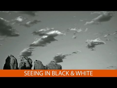 Seeing in Black and White with Eileen Rafferty