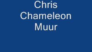 Chris Chameleon Muur