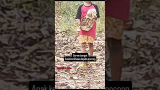 Download lagu BOCAH INI BAWA K3P4L4 POCONG😱❓#trending #shorts #hororkomedi #creepy #pocong #hantu #horror #seram mp3 Download lagu BOCAH INI BAWA K3P4L4 POCONG😱❓#trending #shorts #hororkomedi #creepy #pocong #hantu #horror #seram mp3