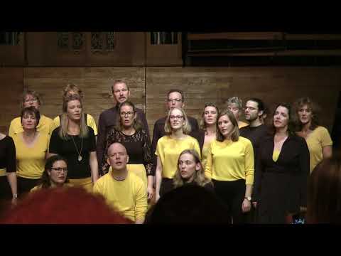 Bladgoud 10-11-2018 Groningen 4. Omarm