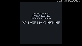 Jamey Johnson - You Are My Sunshine