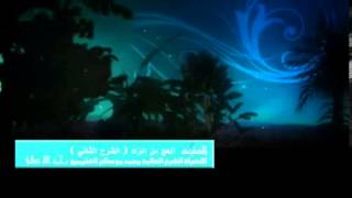 الشرح الثاني لكتاب الحج من زاد المستقنع للشيخ ابن عثيمين 58 image