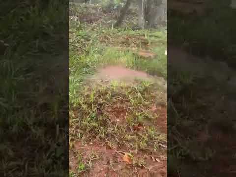 MORADOR DE CALDAS NOVAS (GO) FLAGRA ÁGUA DE POÇO FERVENDO