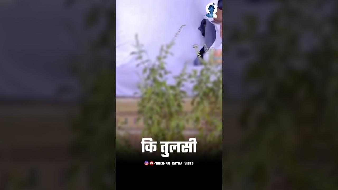 तुलसी कंठी माला पहनने वाले 🪈🦚 #shorts #viral #kanthi