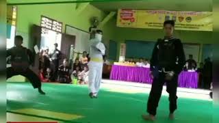 Download lagu Story wa keren pencak silat mp3 Download lagu Story wa keren pencak silat mp3