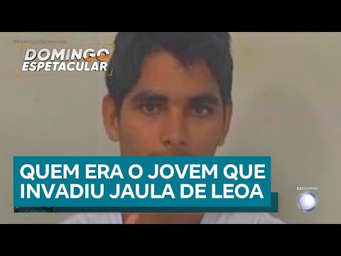 Tragédia no zoológico: jovem invade jaula de leoa e morre em ataque