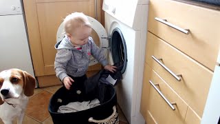 Cute dog and baby doing laundry for the first time