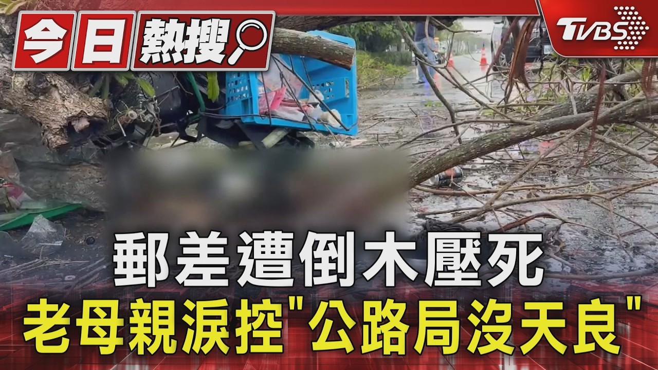 路樹倒塌砸死郵差! 80歲母淚訴「1條命才100多萬」痛批沒天良|TVBS新聞 @TVBSNEWS01