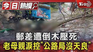 路樹倒塌砸死郵差!83歲母淚訴「1條命才100多萬」痛批沒天良