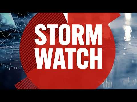 Matt Collins News Reel