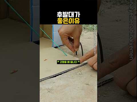 이것이 진정한 새ㄷH가리 인가