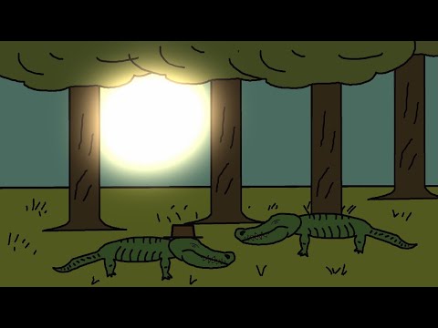 The Cowboy That Lost His Hat