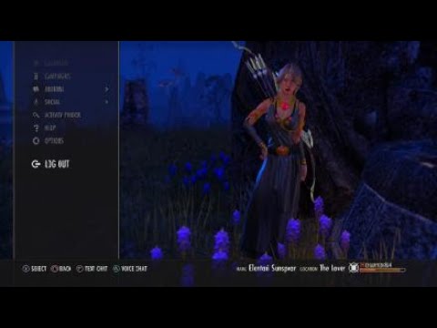 Stamina Templar VMA Build