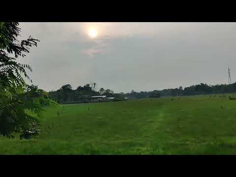 India Assam Nazira nice village