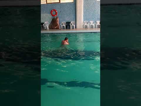 Sovata Hotel Alunis Piscina
